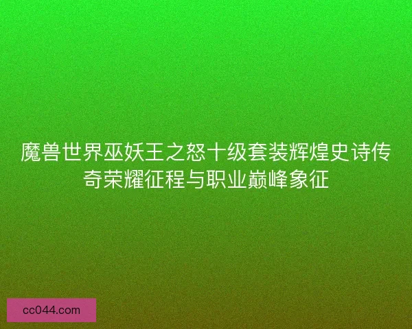魔兽世界巫妖王之怒十级套装辉煌史诗传奇荣耀征程与职业巅峰象征